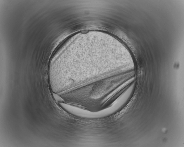 X0000096981089200802291140