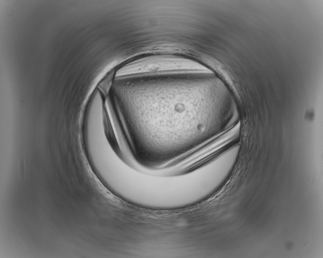 X0000096981091200802291140