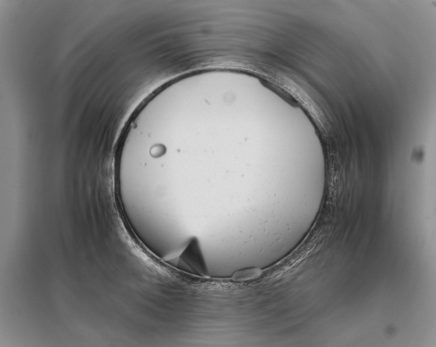 X0000096981092200802291140