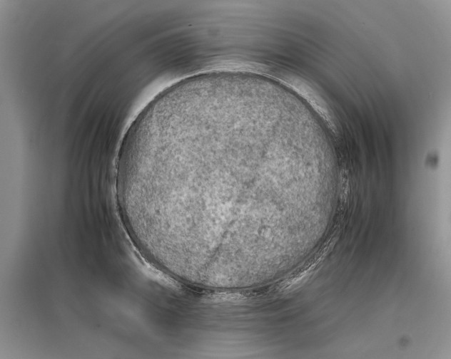 X0000096981094200802291140