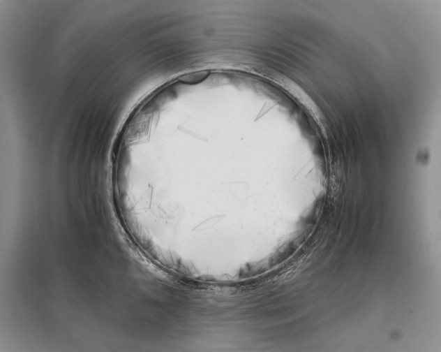 X0000096981096200802291140