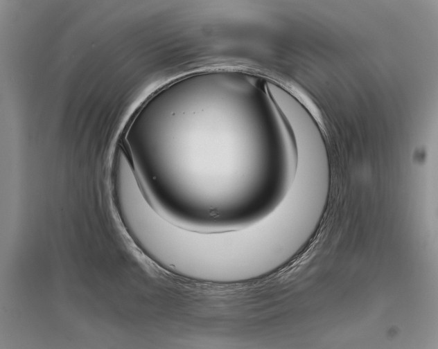 X0000096981099200802291140