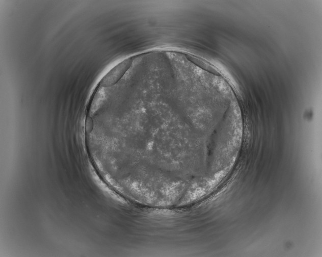 X0000096981100200802291140