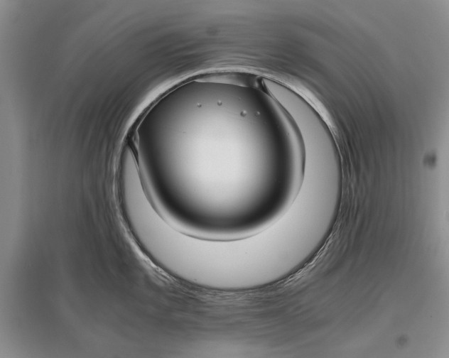 X0000096981101200802291140