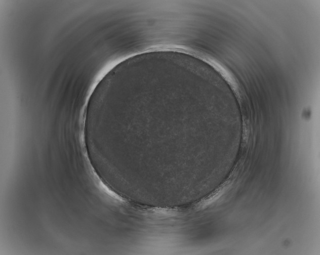 X0000096981102200802291140