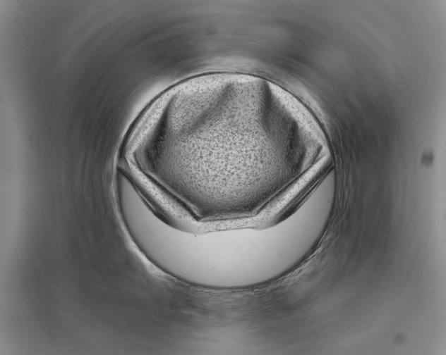 X0000096981103200802291140