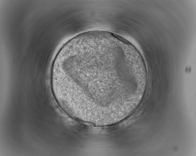 X0000096981104200802291140