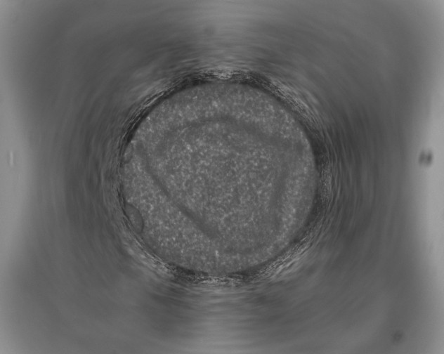 X0000096981105200802291139