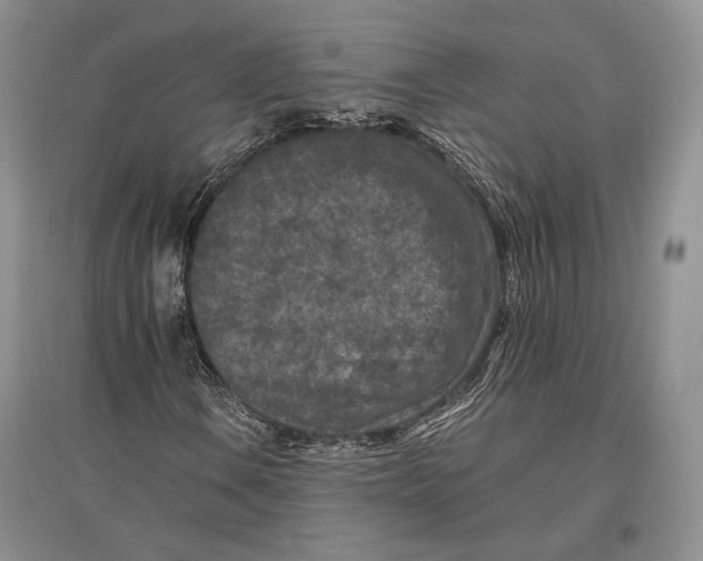 X0000096981106200802291139