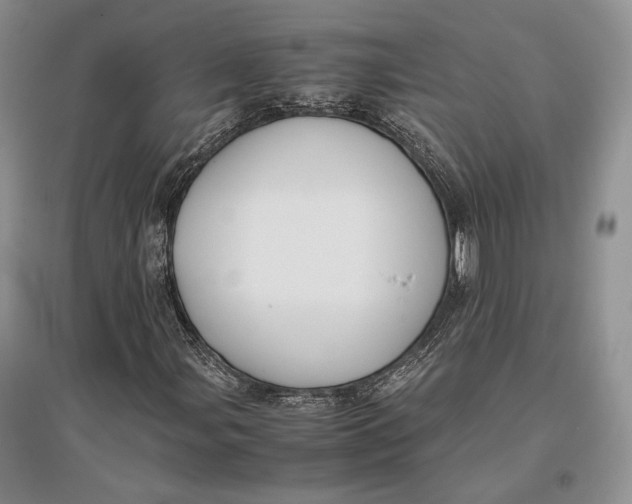 X0000096981107200802291139