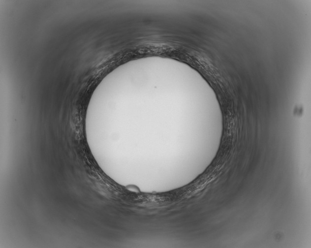 X0000096981109200802291139