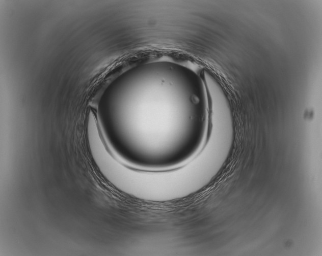 X0000096981110200802291139