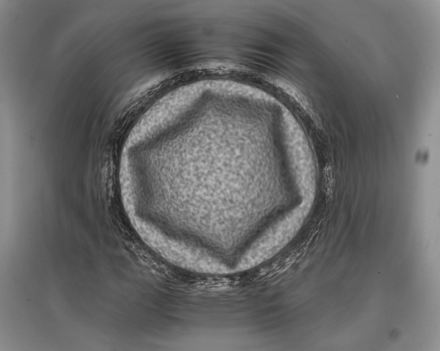 X0000096981111200802291139