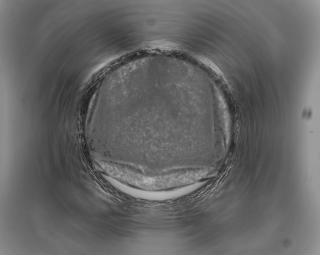 X0000096981112200802291139