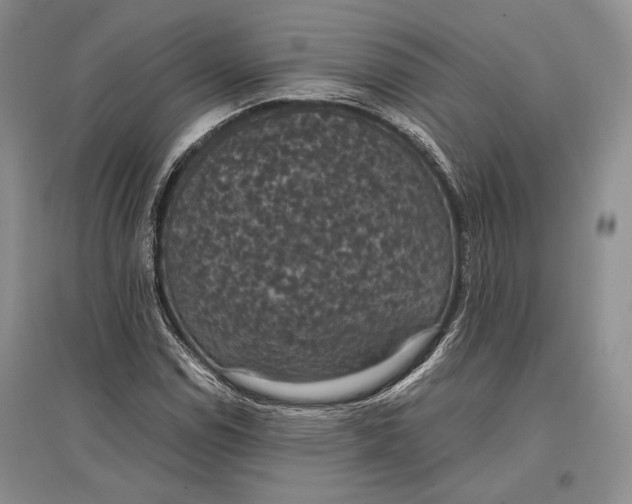 X0000096981114200802291139