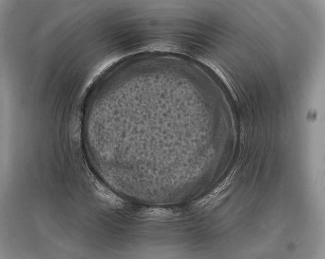 X0000096981115200802291139