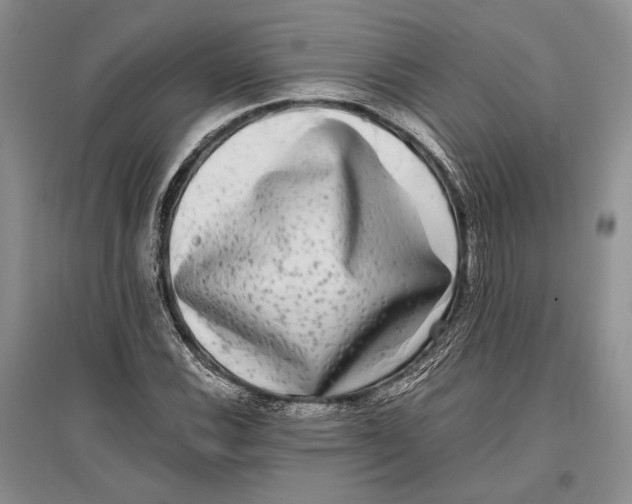 X0000096981116200802291139