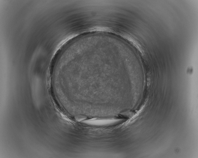 X0000096981117200802291139