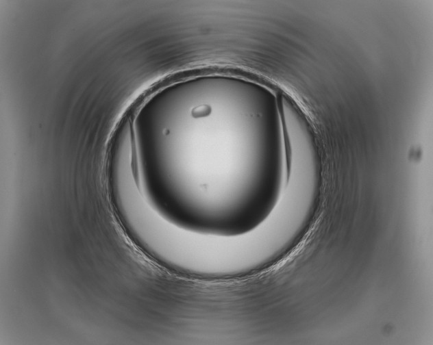 X0000096981118200802291139