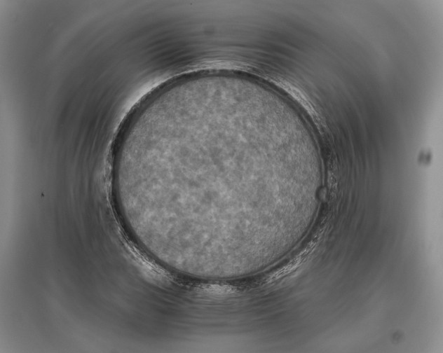 X0000096981119200802291139