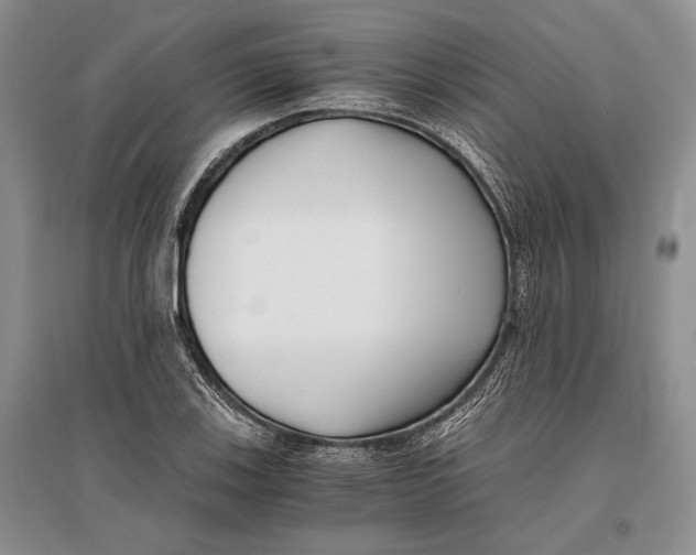 X0000096981123200802291139