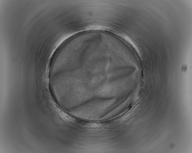 X0000096981124200802291139