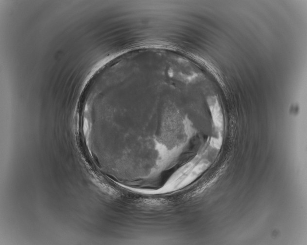 X0000096981125200802291139