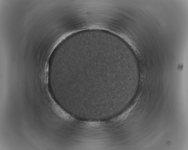 X0000096981126200802291139