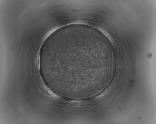 X0000096981127200802291139