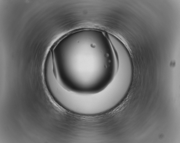 X0000096981128200802291139