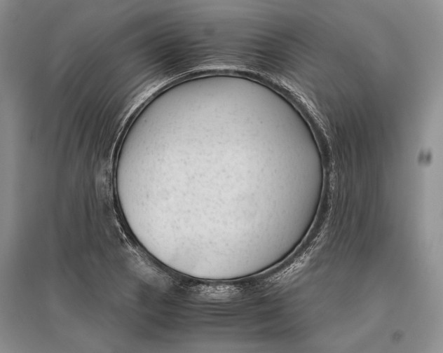 X0000096981129200802291139