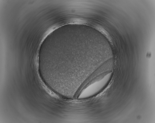 X0000096981130200802291139