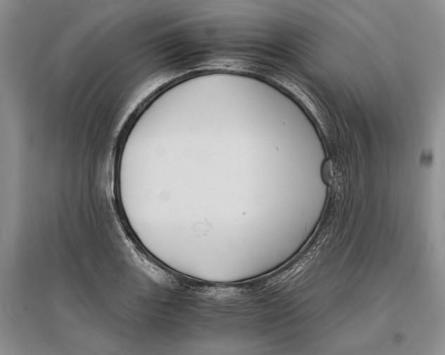 X0000096981131200802291139