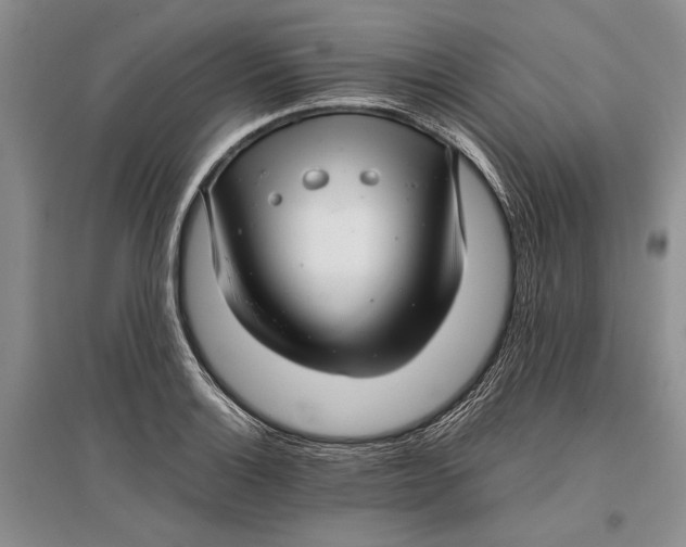 X0000096981132200802291139