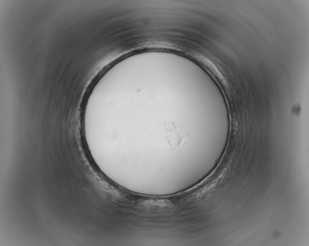 X0000096981133200802291139