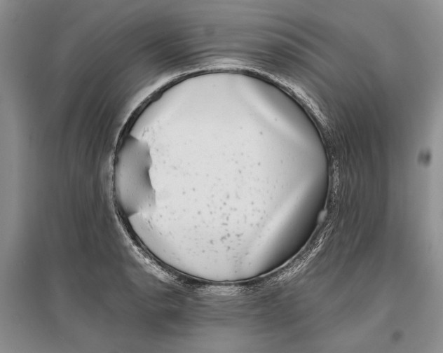 X0000096981134200802291139