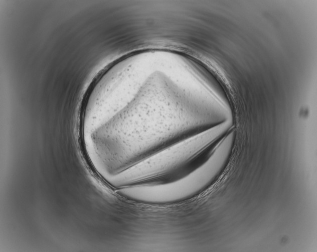 X0000096981136200802291139