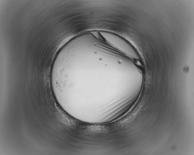 X0000096981137200802291139