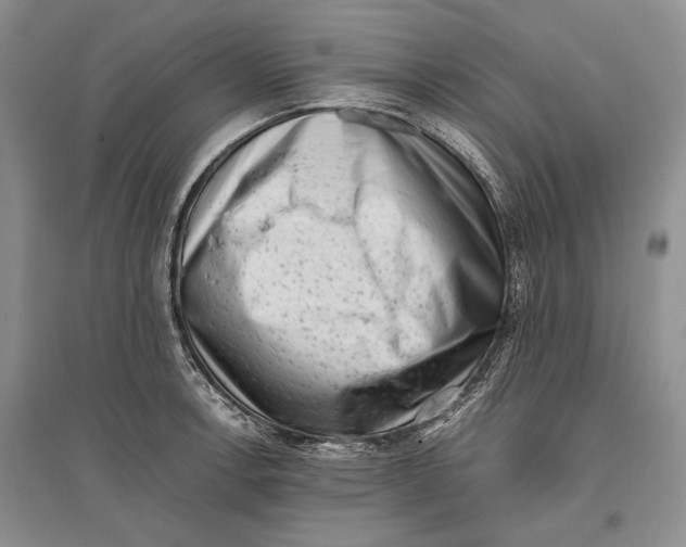 X0000096981138200802291139