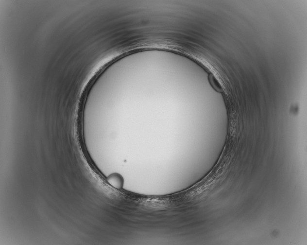 X0000096981139200802291139