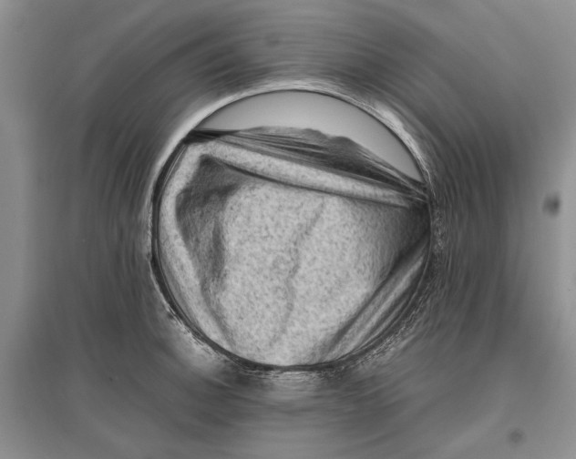 X0000096981140200802291139