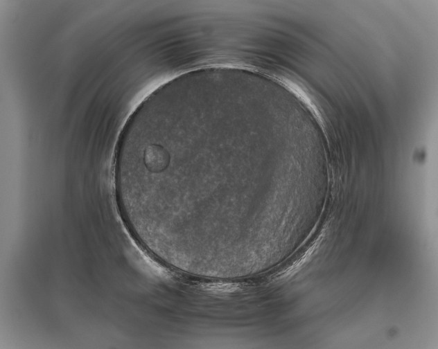 X0000096981141200802291139