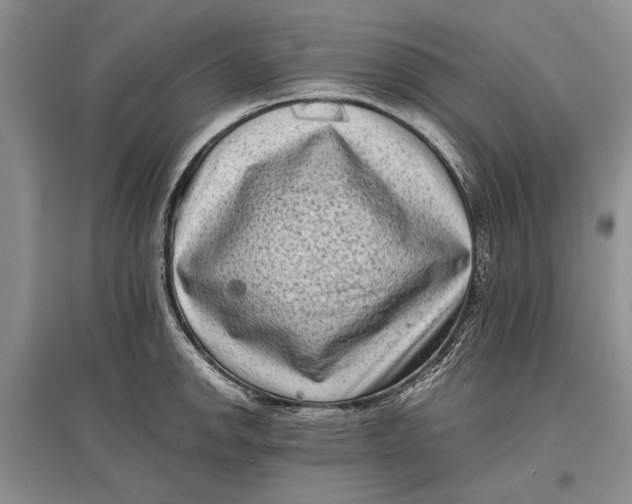 X0000096981142200802291139