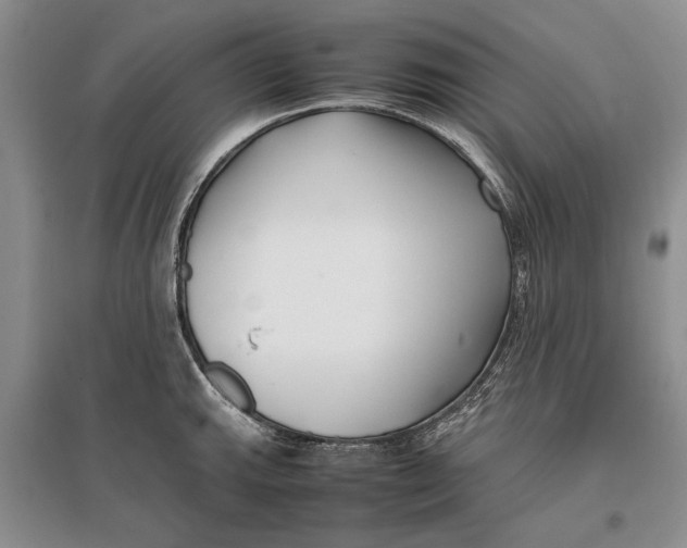 X0000096981143200802291139