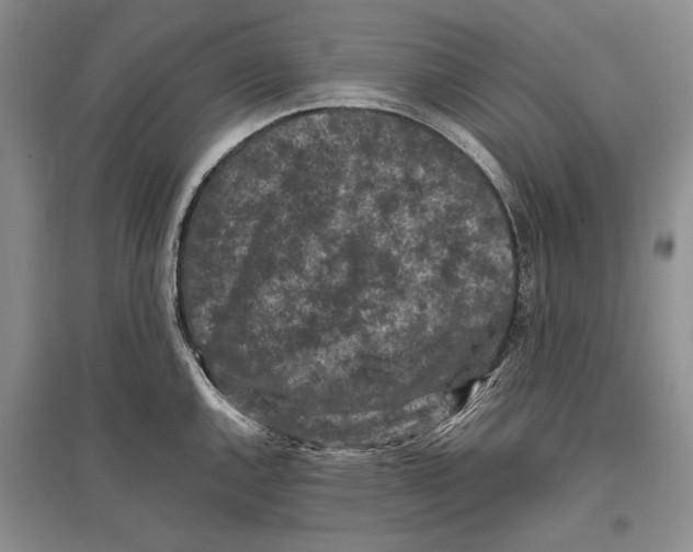 X0000096981144200802291139