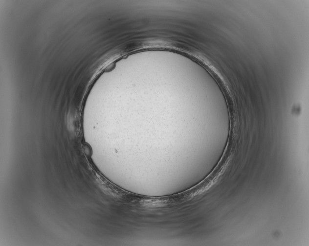 X0000096981145200802291139