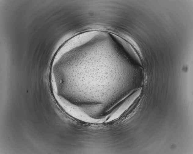 X0000096981146200802291139