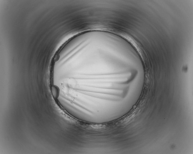 X0000096981147200802291139