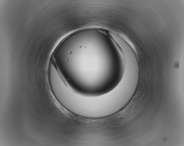 X0000096981148200802291139