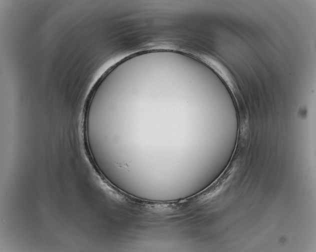 X0000096981149200802291139